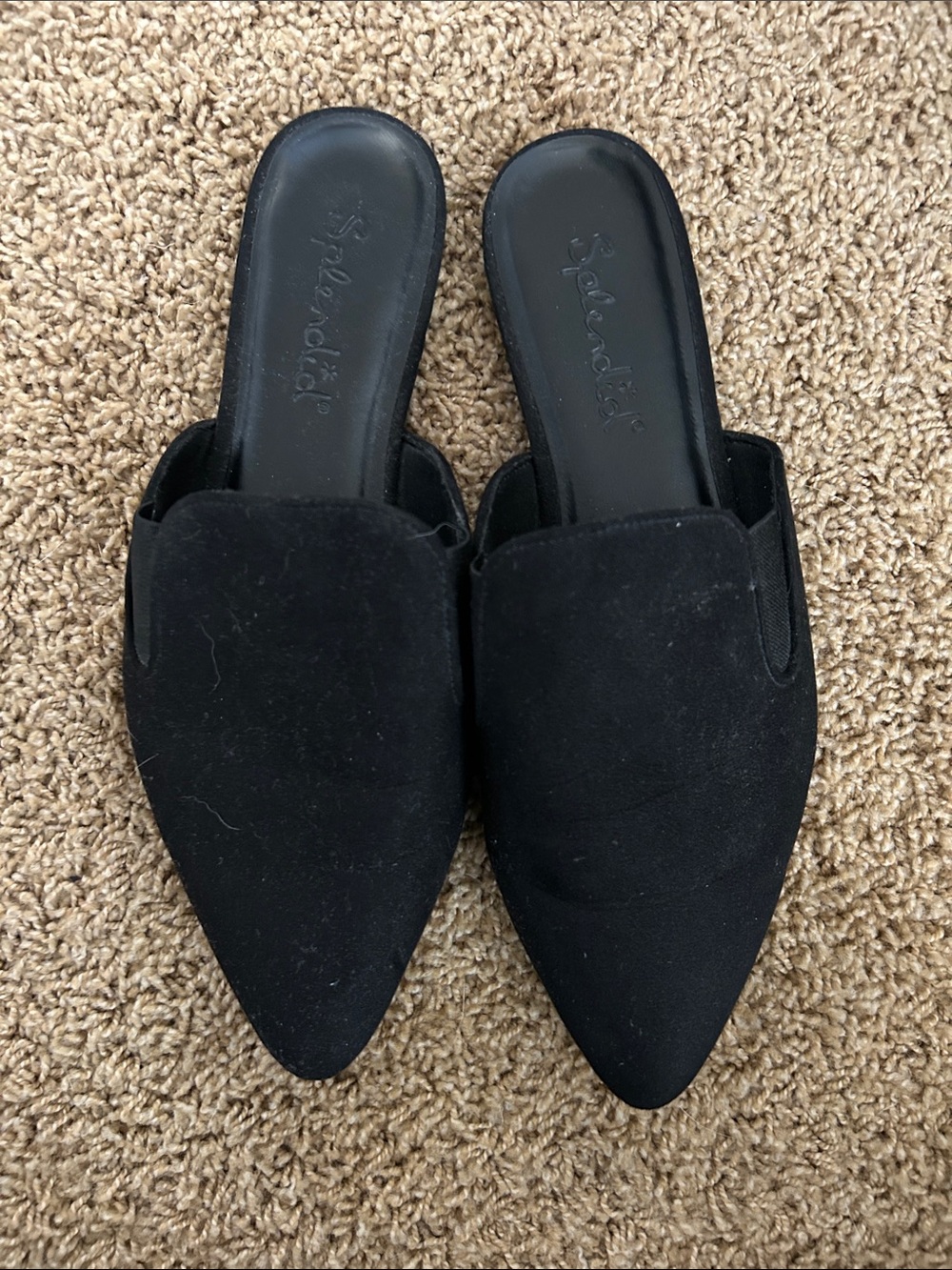 Splendid Black Pointed Suede Slip-On Mules - Women